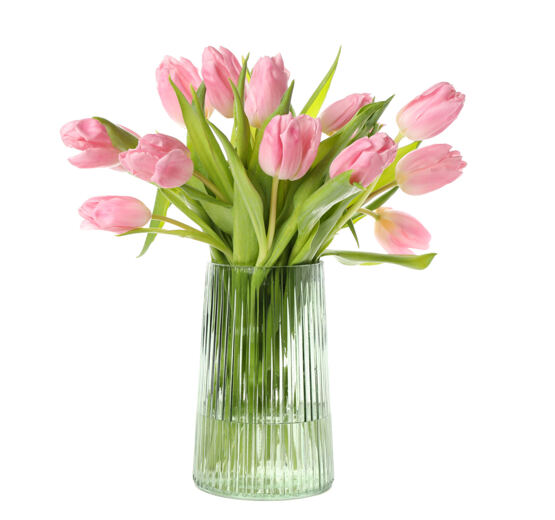 Rosa Tulpen